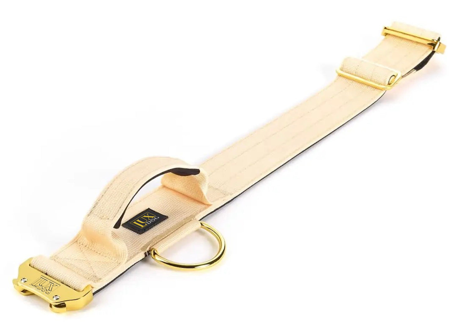 5cm Gold Buckle Tactical Collar (Cream)