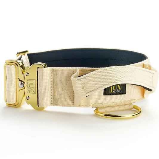 5cm Gold Buckle Tactical Collar (Cream)