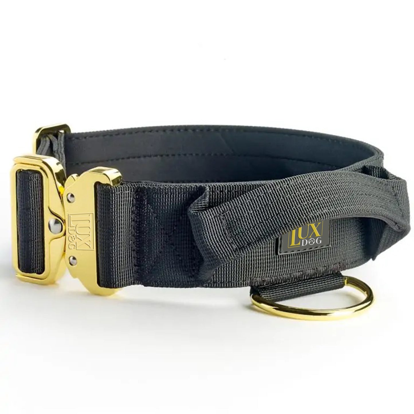 5cm Gold Buckle Tactical Collar (Black)