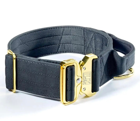 5cm Gold Buckle Tactical Collar (Black)