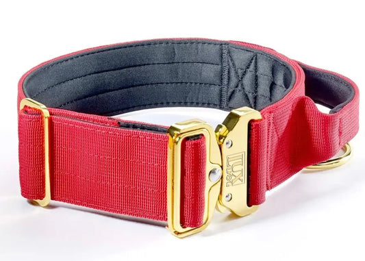 5cm Gold Buckle Tactical Collar (Red)