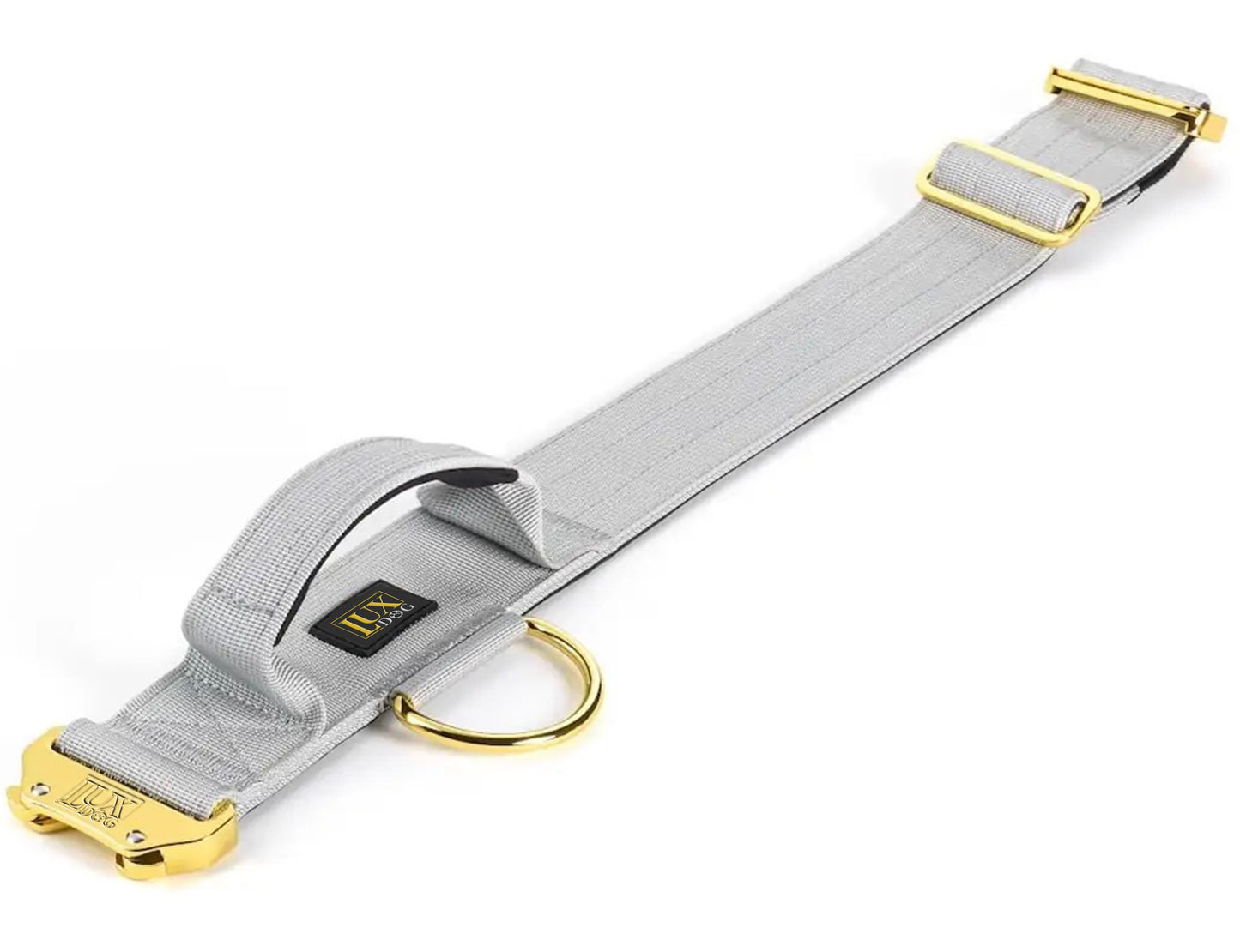 5cm Gold Buckle Tactical Collar (Grey)