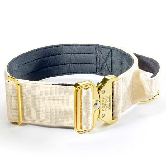 5cm Gold Buckle Tactical Collar (Cream)