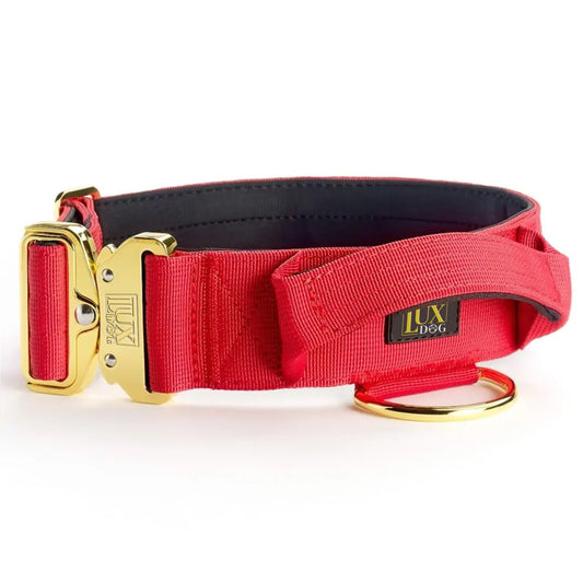 5cm Gold Buckle Tactical Collar (Red)