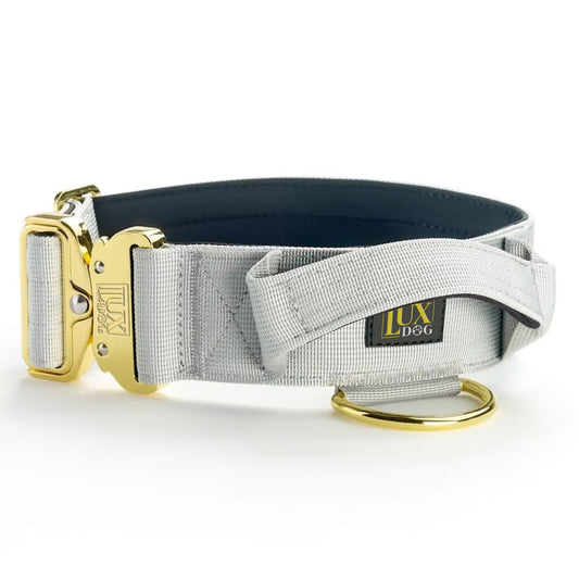 5cm Gold Buckle Tactical Collar (Grey)